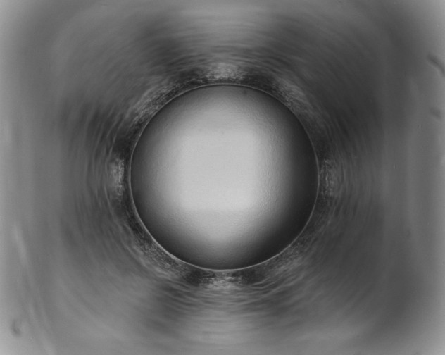 X0000101690550200807171438