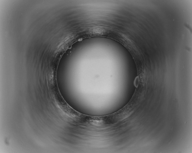 X0000101690552200807171438