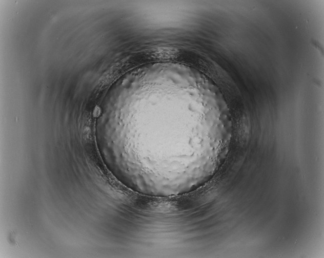 X0000101690553200807171438