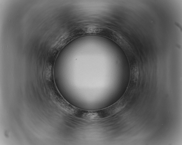 X0000101690554200807171438