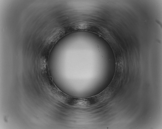 X0000101690555200807171438