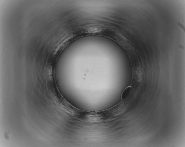 X0000101690556200807171438