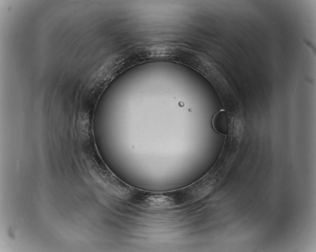 X0000101690557200807171438