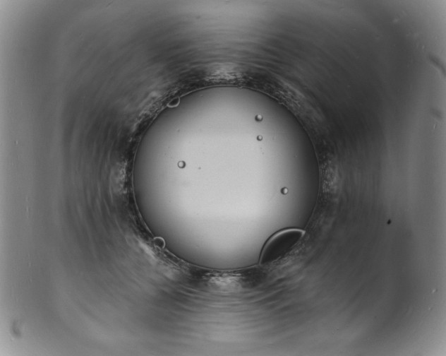 X0000101690560200807171438