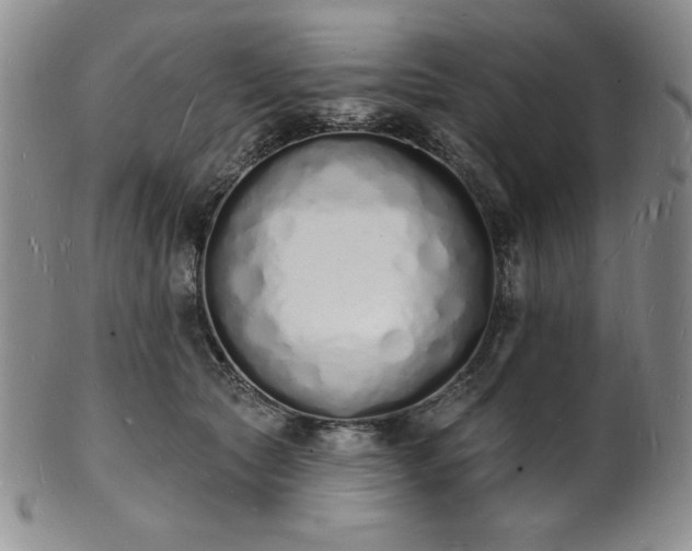 X0000101690561200807171438