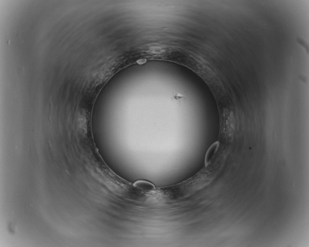 X0000101690562200807171438