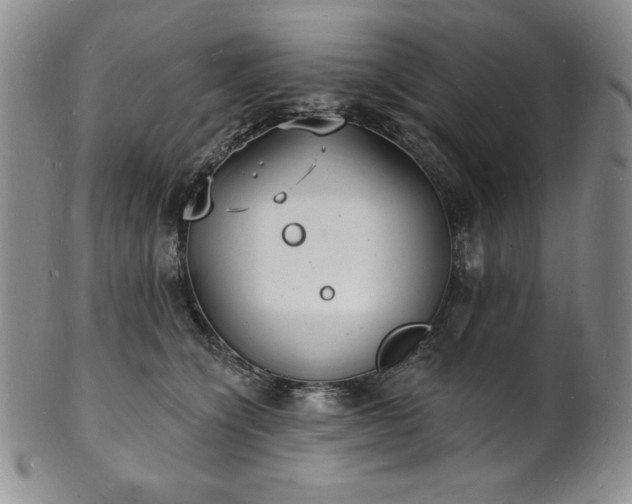 X0000101690564200807171438