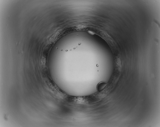 X0000101690565200807171438