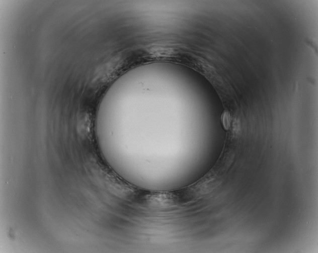 X0000101690567200807171438