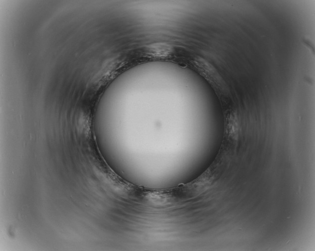 X0000101690568200807171438