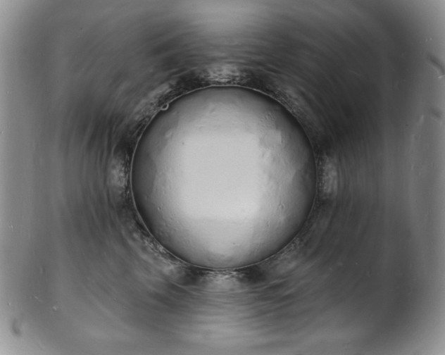 X0000101690569200807171438