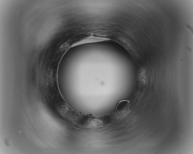 X0000101690572200807171438