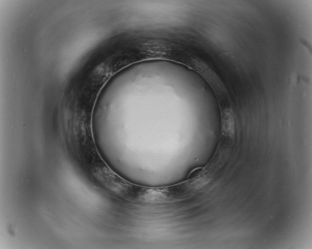 X0000101690573200807171438