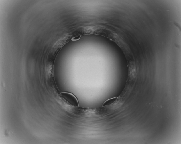 X0000101690574200807171438