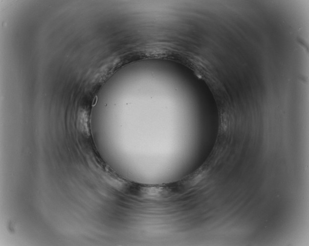 X0000101690575200807171438