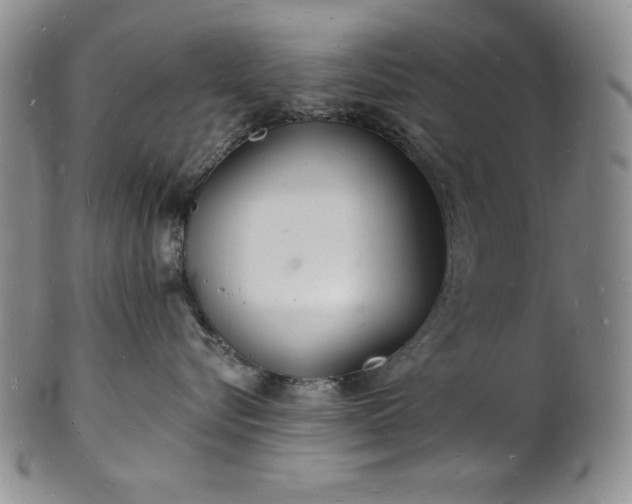 X0000101690576200807171438