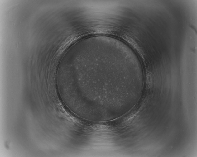 X0000101690577200807171437