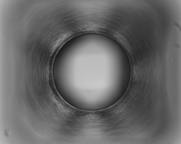 X0000101690578200807171437