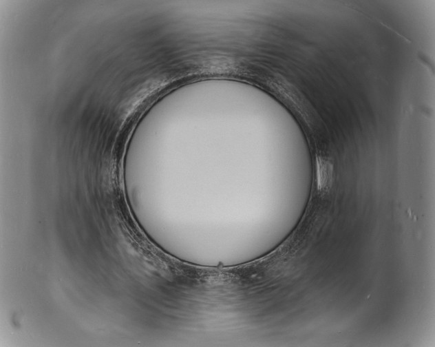 X0000101690579200807171437