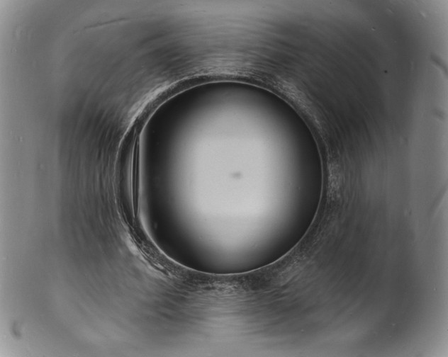 X0000101690580200807171437