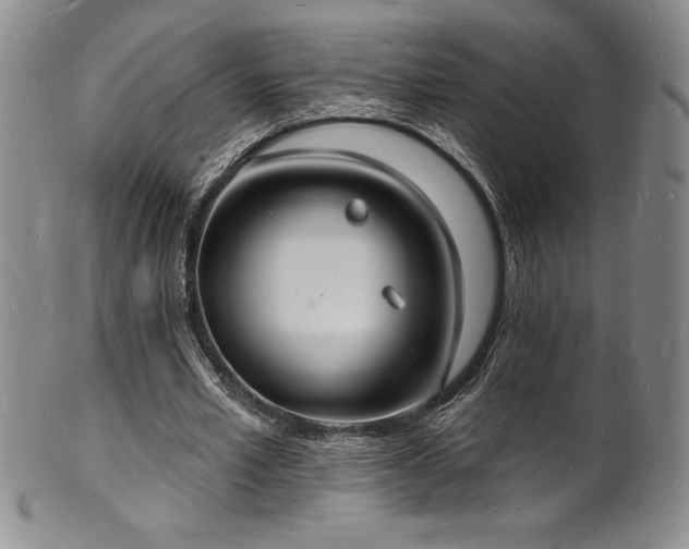 X0000101690581200807171437