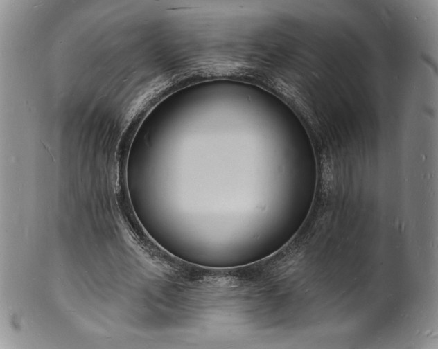 X0000101690582200807171437