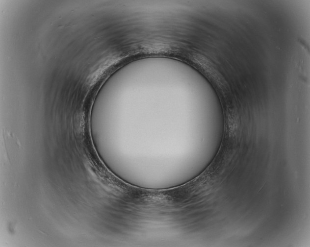 X0000101690583200807171437