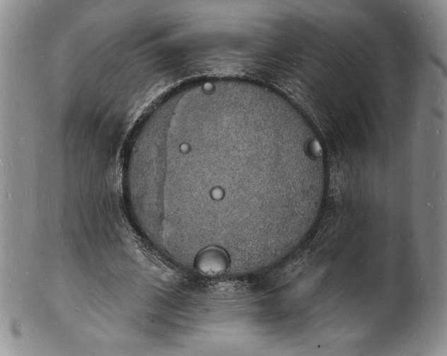 X0000101690584200807171437