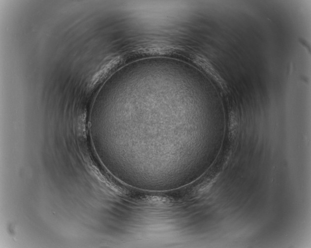 X0000101690585200807171437