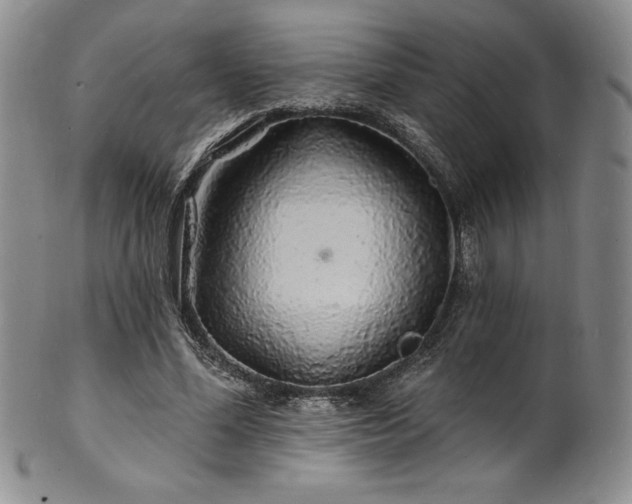 X0000101690588200807171437