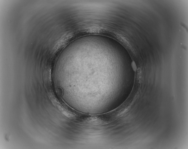 X0000101690589200807171437