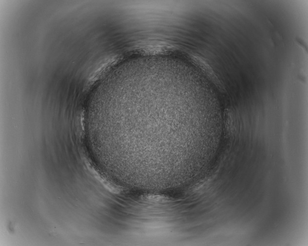 X0000101690590200807171437