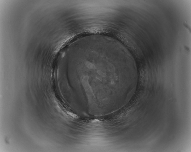 X0000101690592200807171437