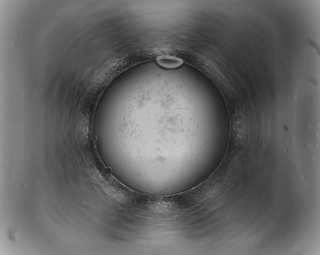 X0000101690593200807171437