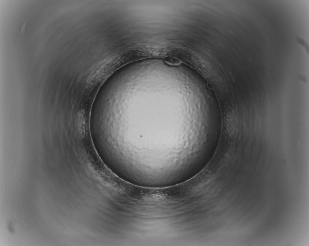 X0000101690594200807171437