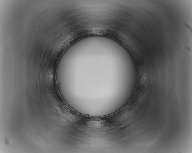 X0000101690595200807171437