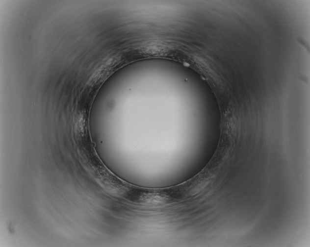 X0000101690597200807171437