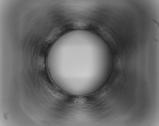 X0000101690599200807171437