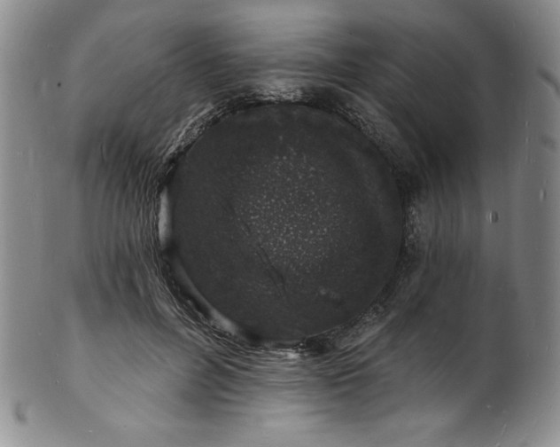 X0000101690600200807171437