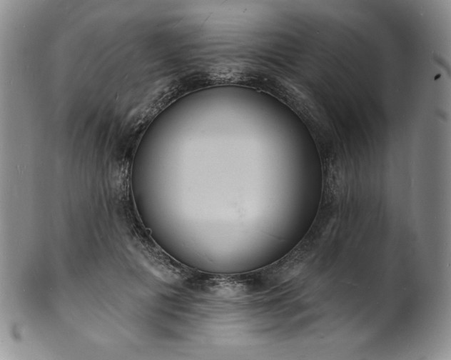 X0000101690601200807171437