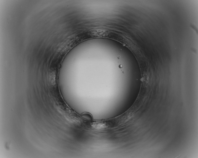 X0000101690602200807171437