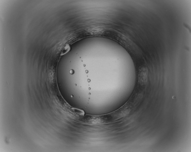 X0000101690604200807171437