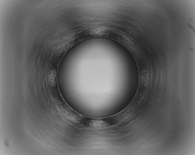 X0000101690605200807171437