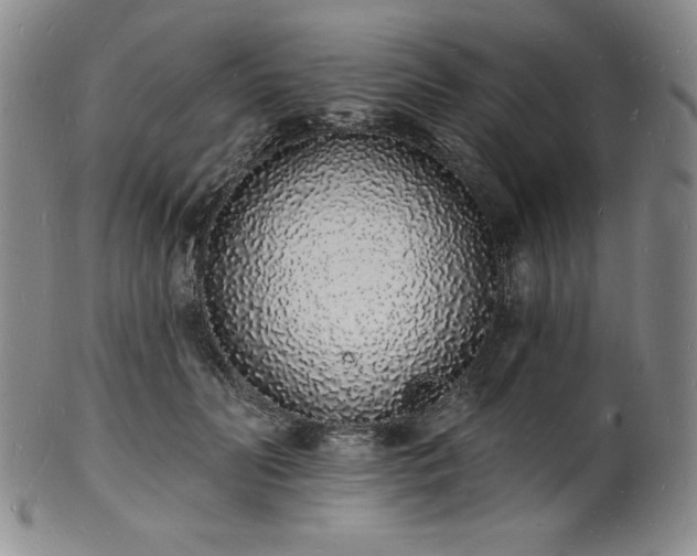 X0000101690606200807171437