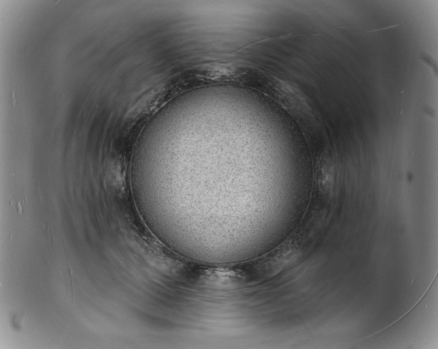 X0000101690607200807171437