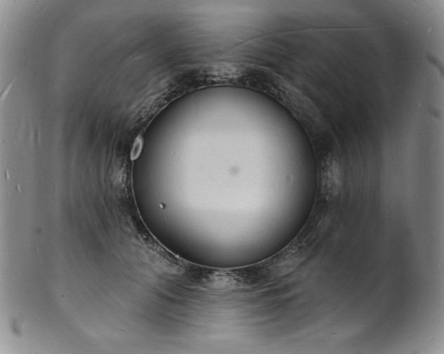 X0000101690608200807171437