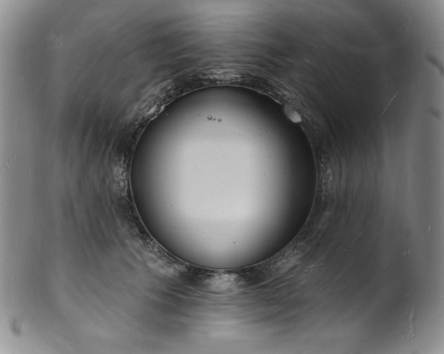 X0000101690609200807171437