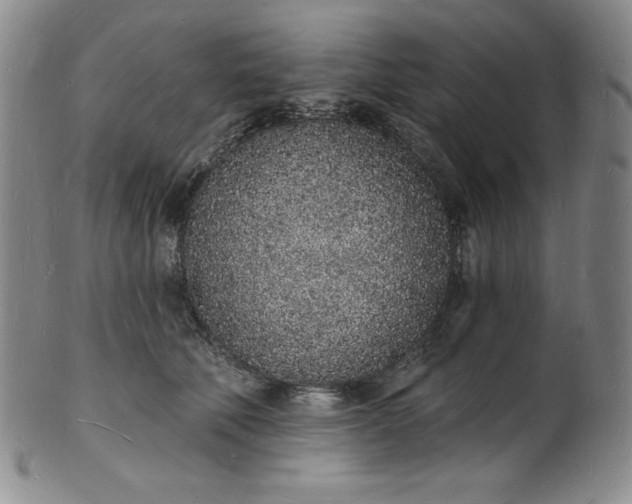 X0000101690610200807171437