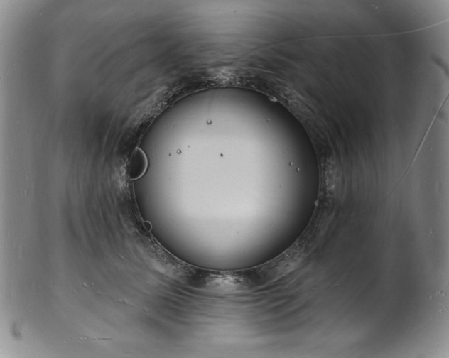 X0000101690611200807171437