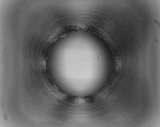 X0000101690613200807171437